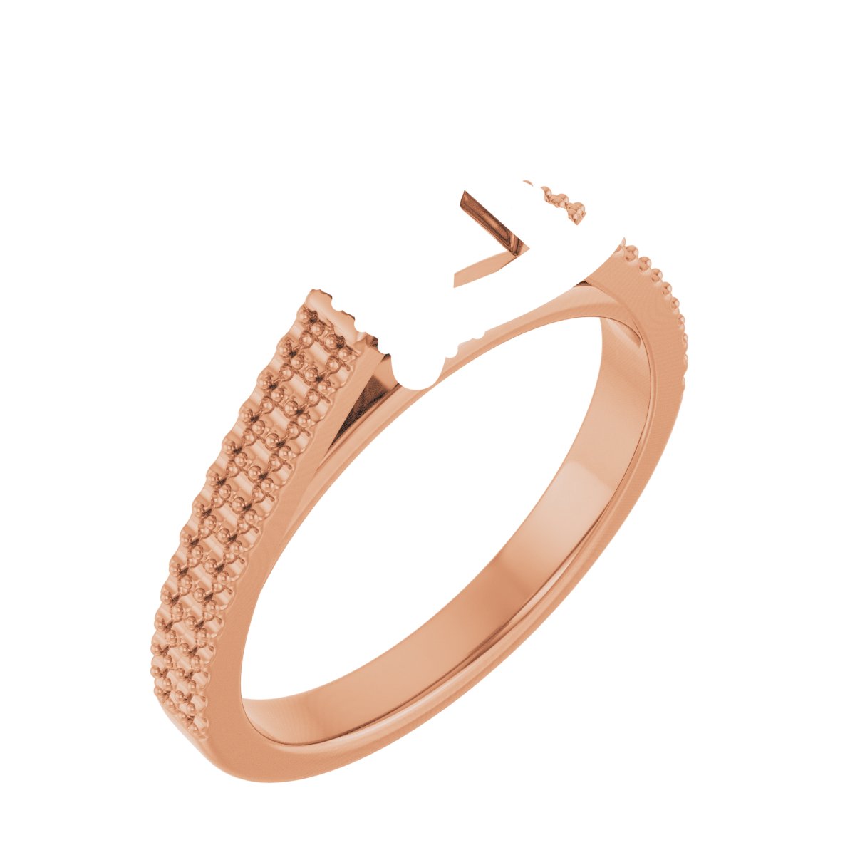 Hidden Halo-Style Engagement Ring