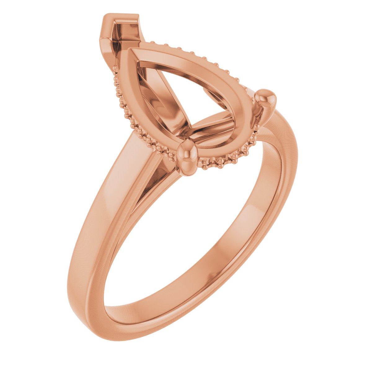 Hidden Halo-Style Engagement Ring