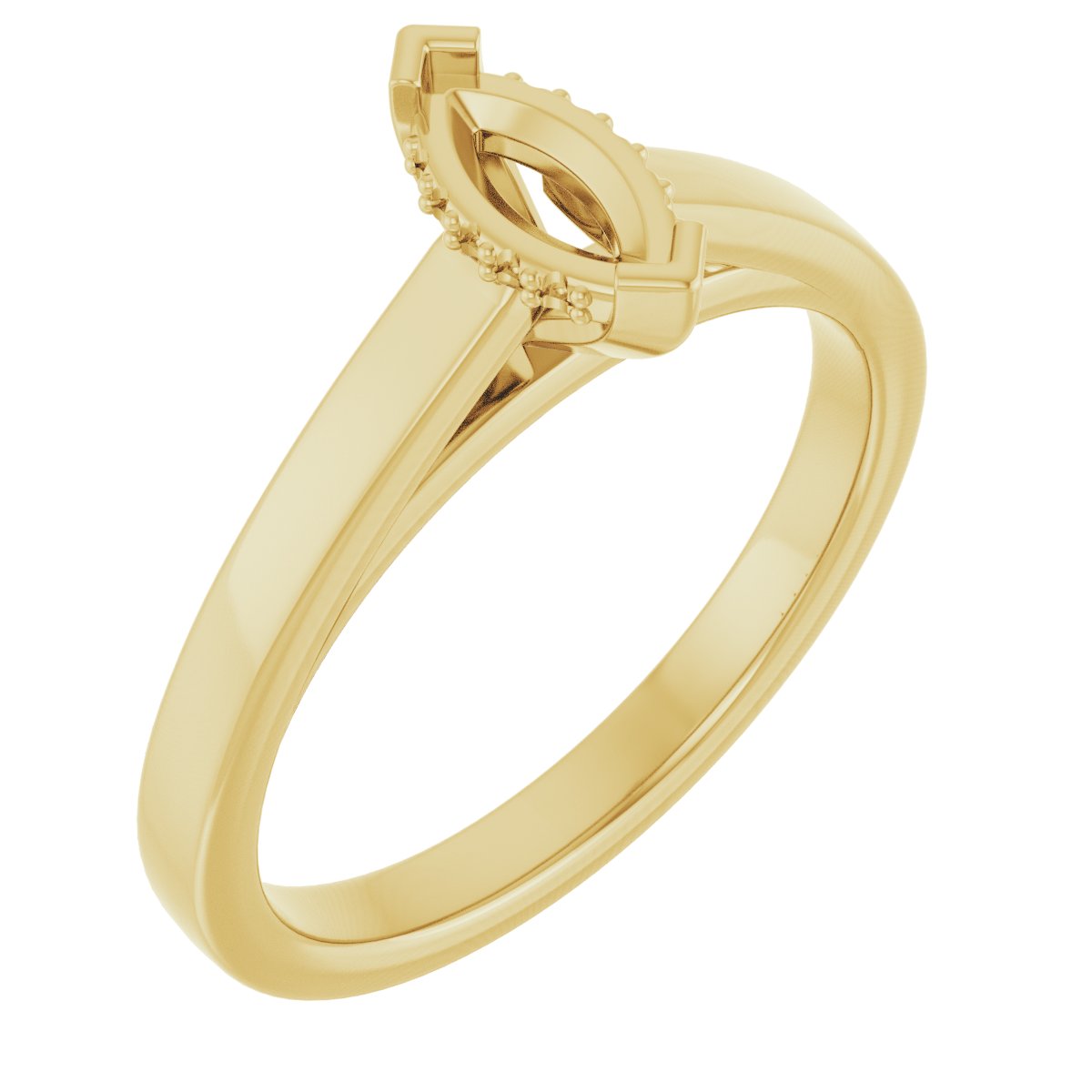 Hidden Halo-Style Engagement Ring