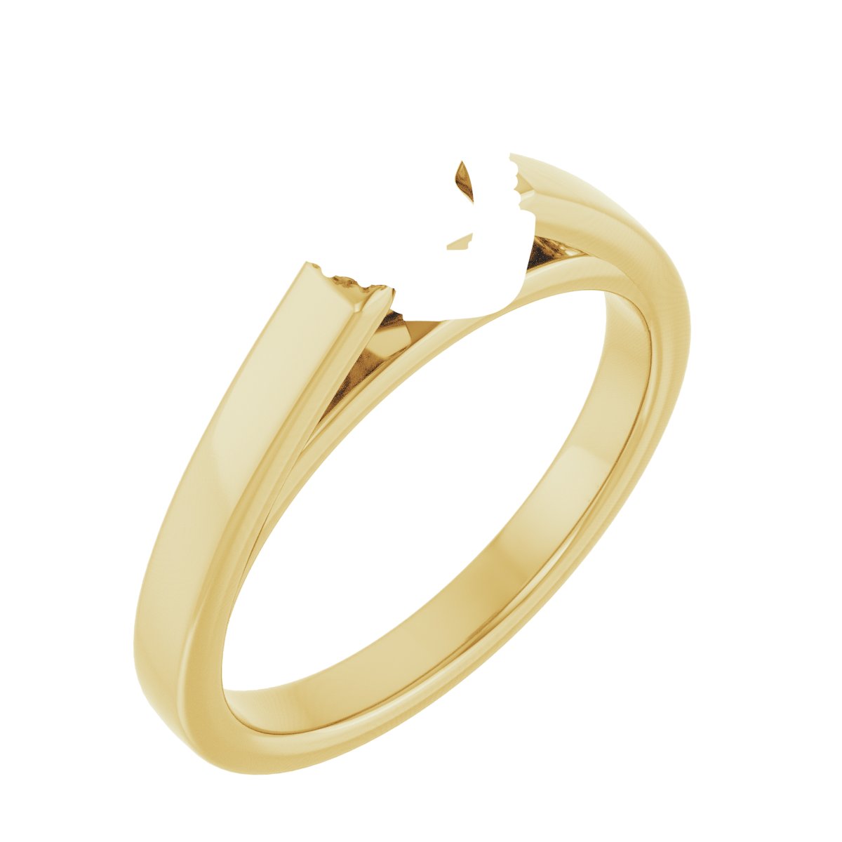 Hidden Halo-Style Engagement Ring