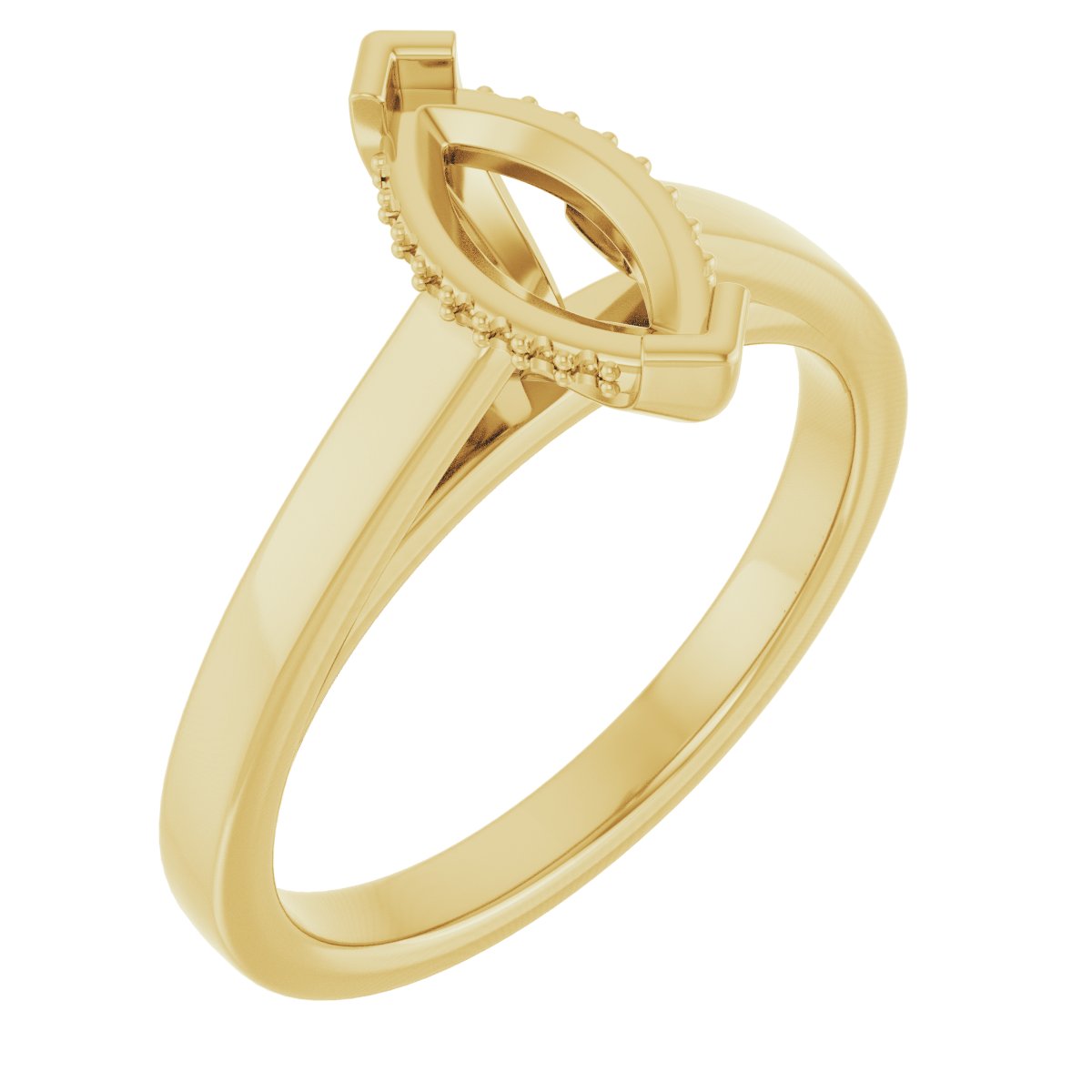Hidden Halo-Style Engagement Ring
