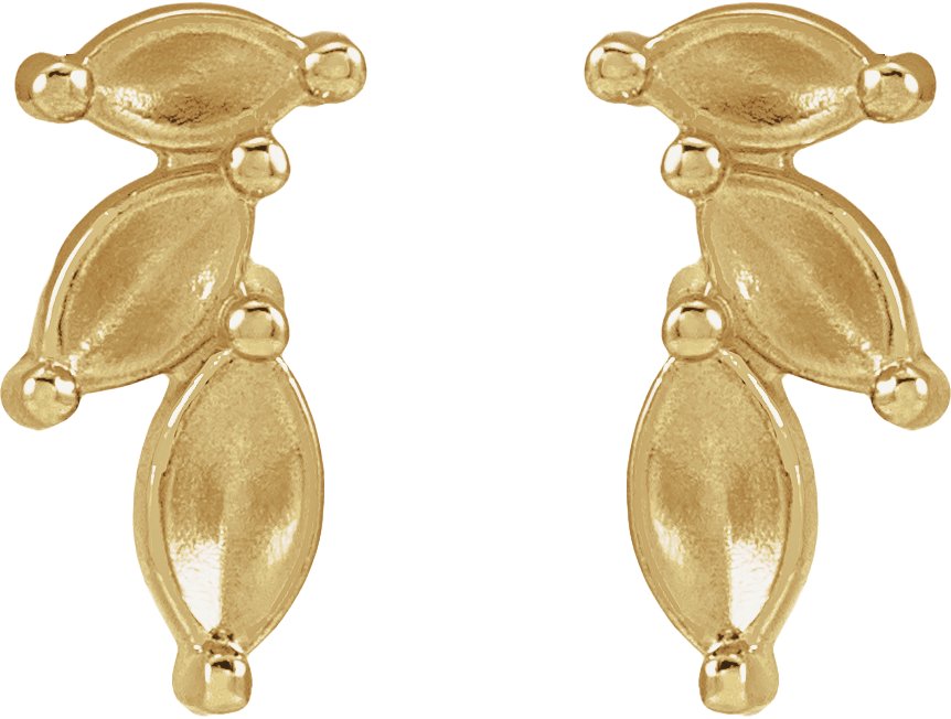 Accented Earrings