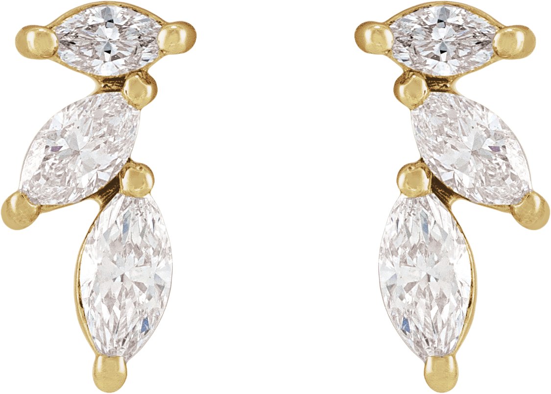 Accented Earrings