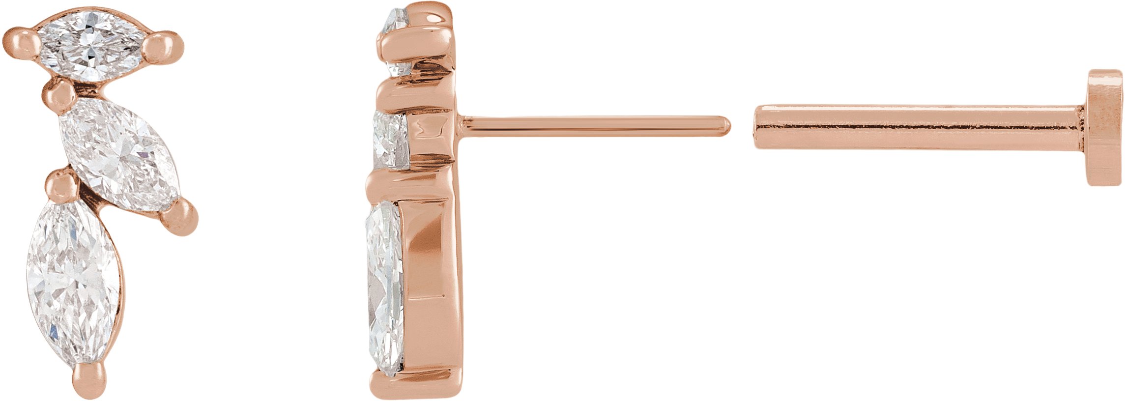 Accented Earrings