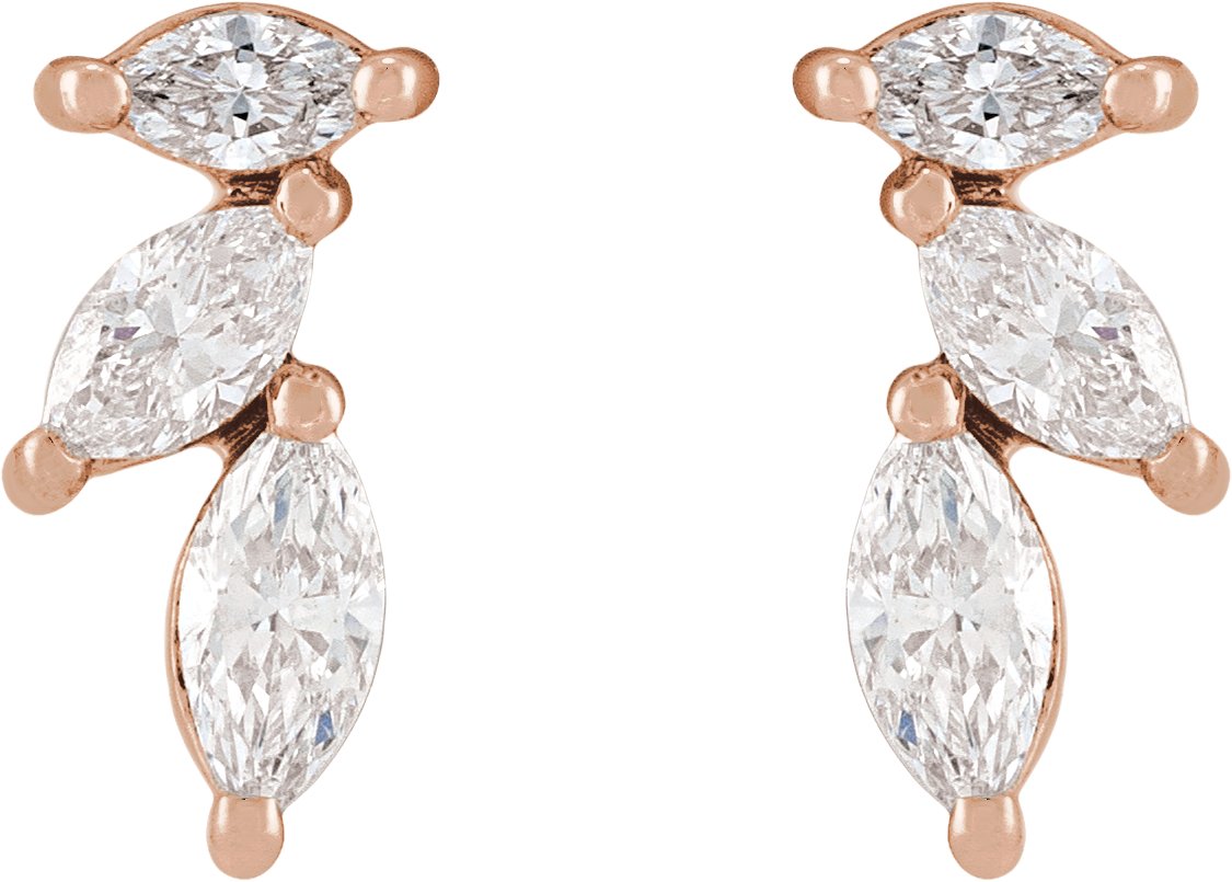 Accented Earrings
