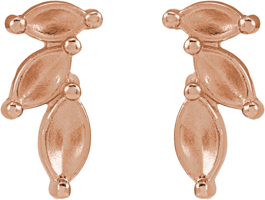 Accented Earrings