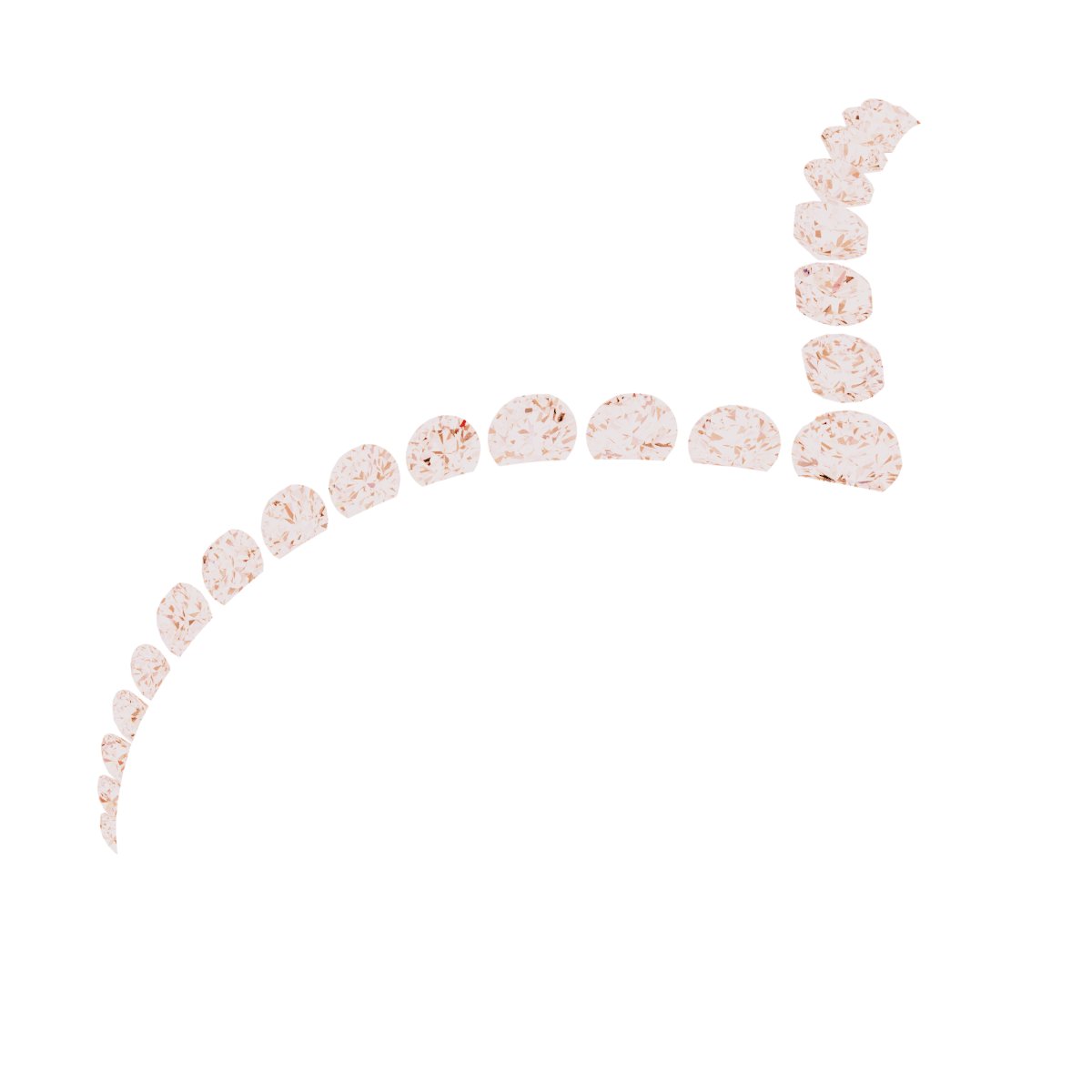 Accented Contour Band