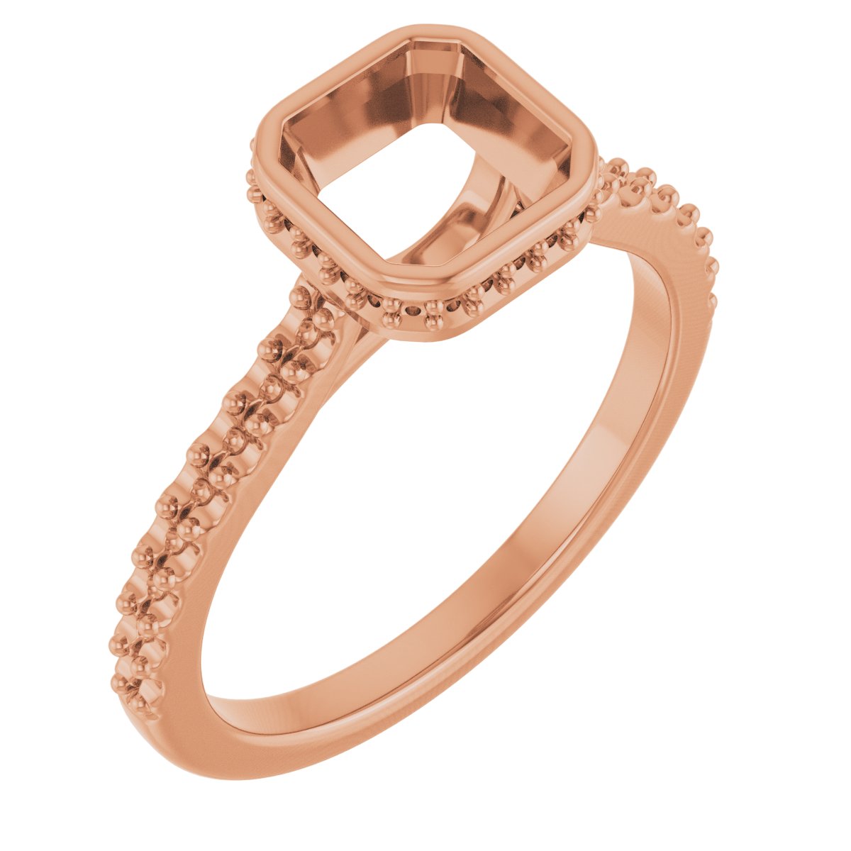 Hidden Halo-Style Engagement Ring