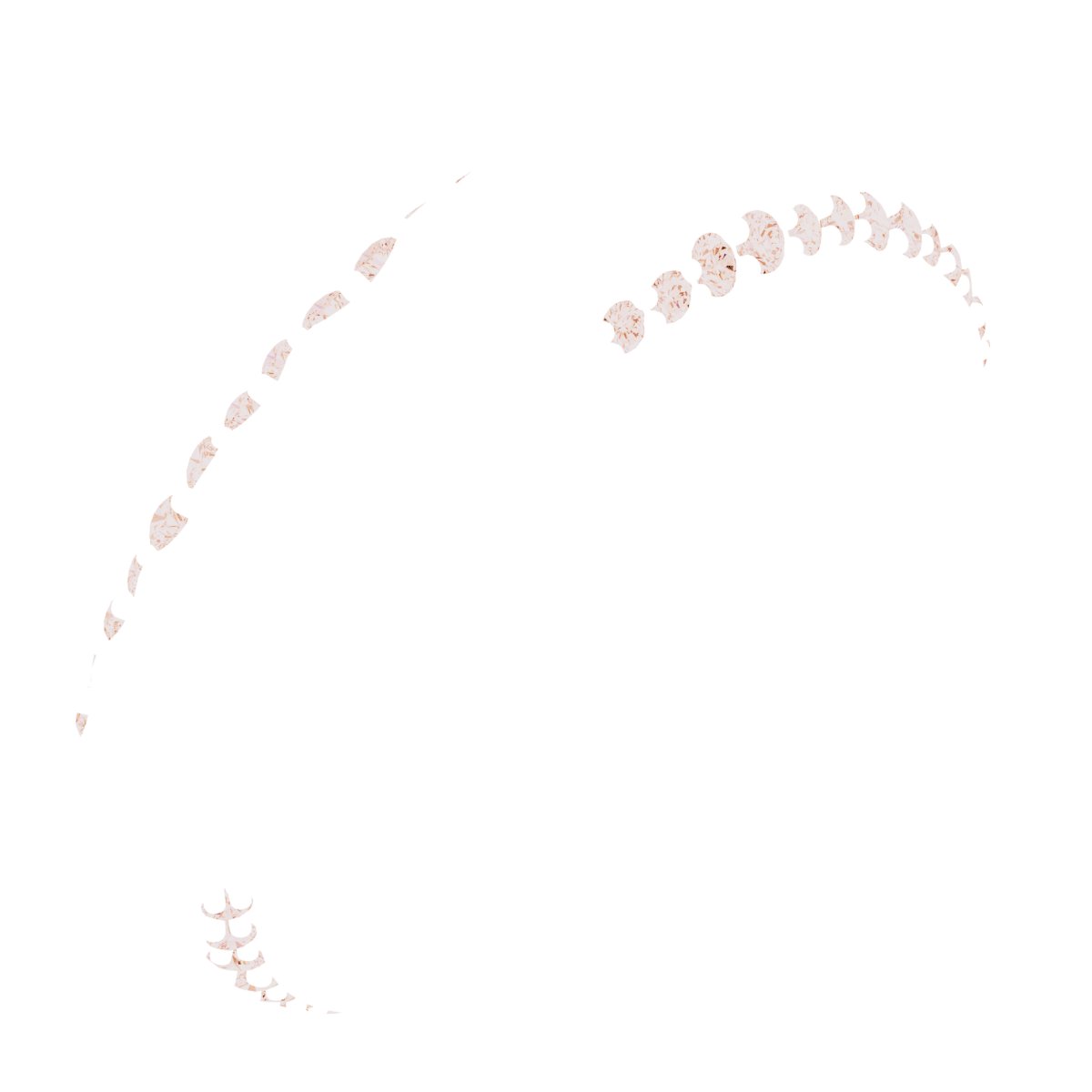 Scalloped Beveled-Edge Accented Band
