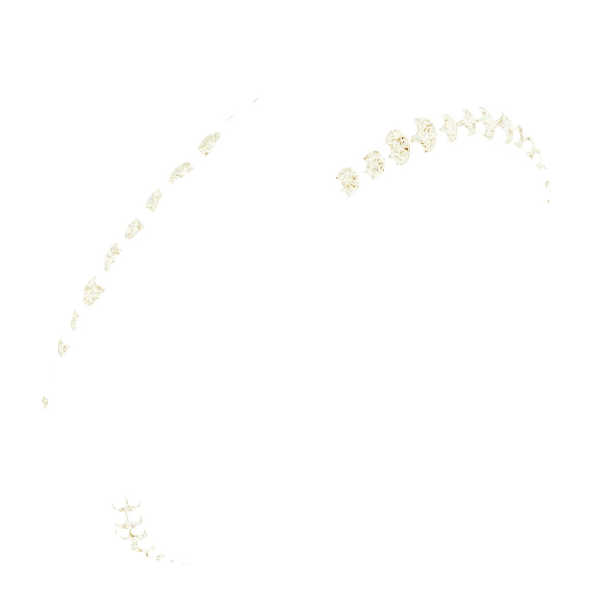 Scalloped Beveled-Edge Accented Band