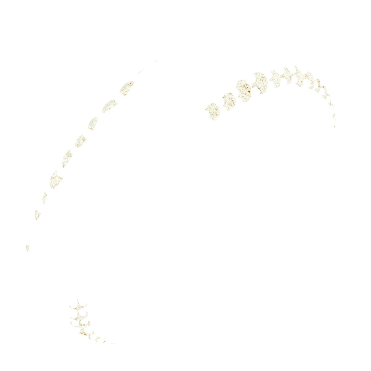 Scalloped Beveled-Edge Accented Band