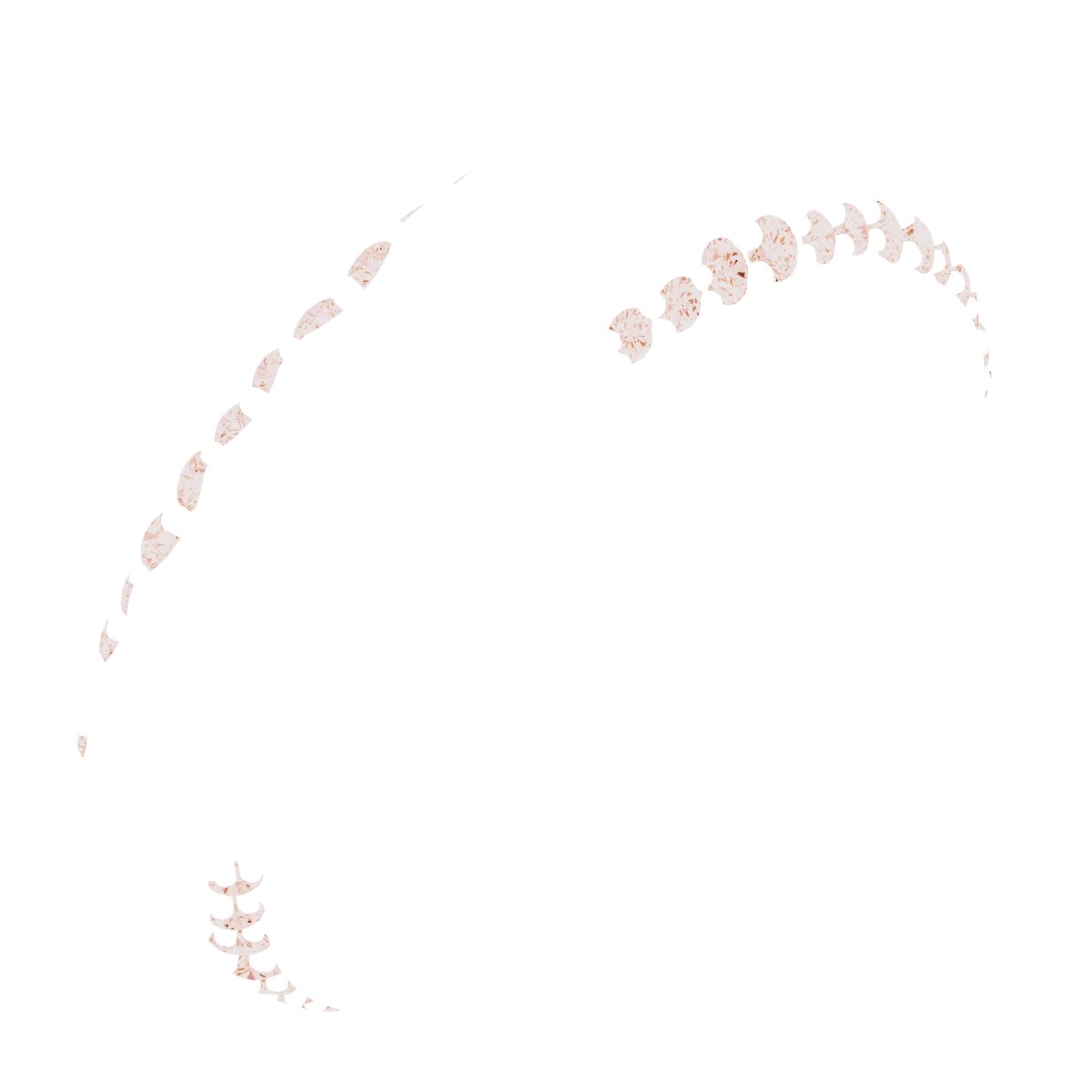 Scalloped Beveled-Edge Accented Band