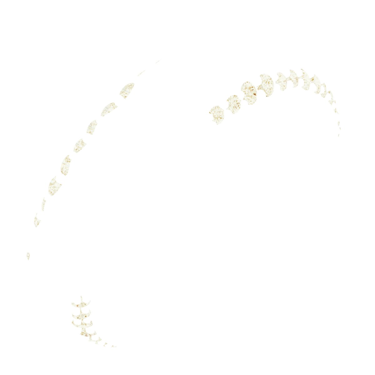 Scalloped Beveled-Edge Accented Band
