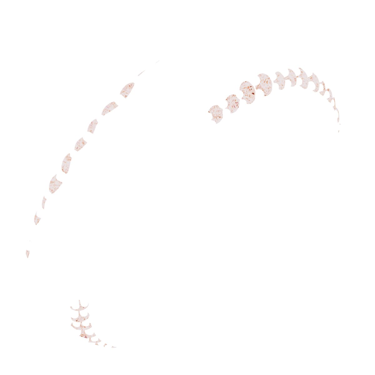 Scalloped Beveled-Edge Accented Band