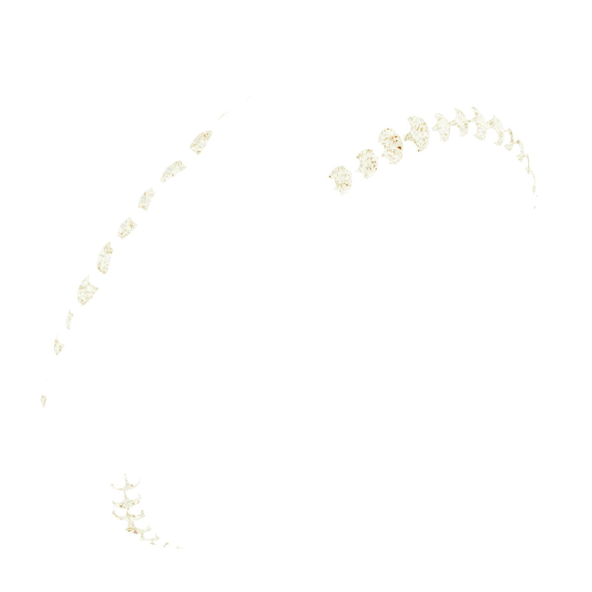 Scalloped Beveled-Edge Accented Band
