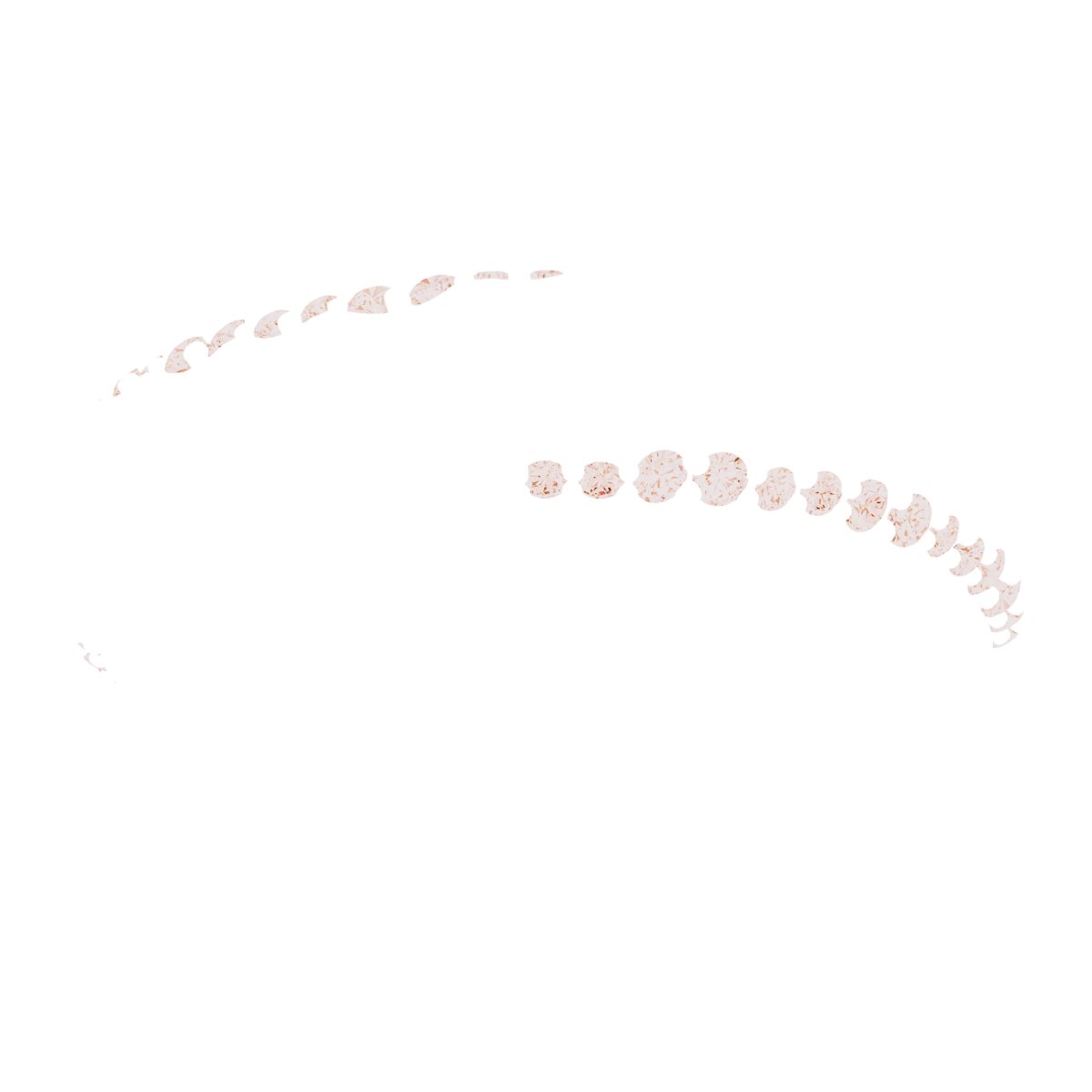 Scalloped Beveled-Edge Accented Band