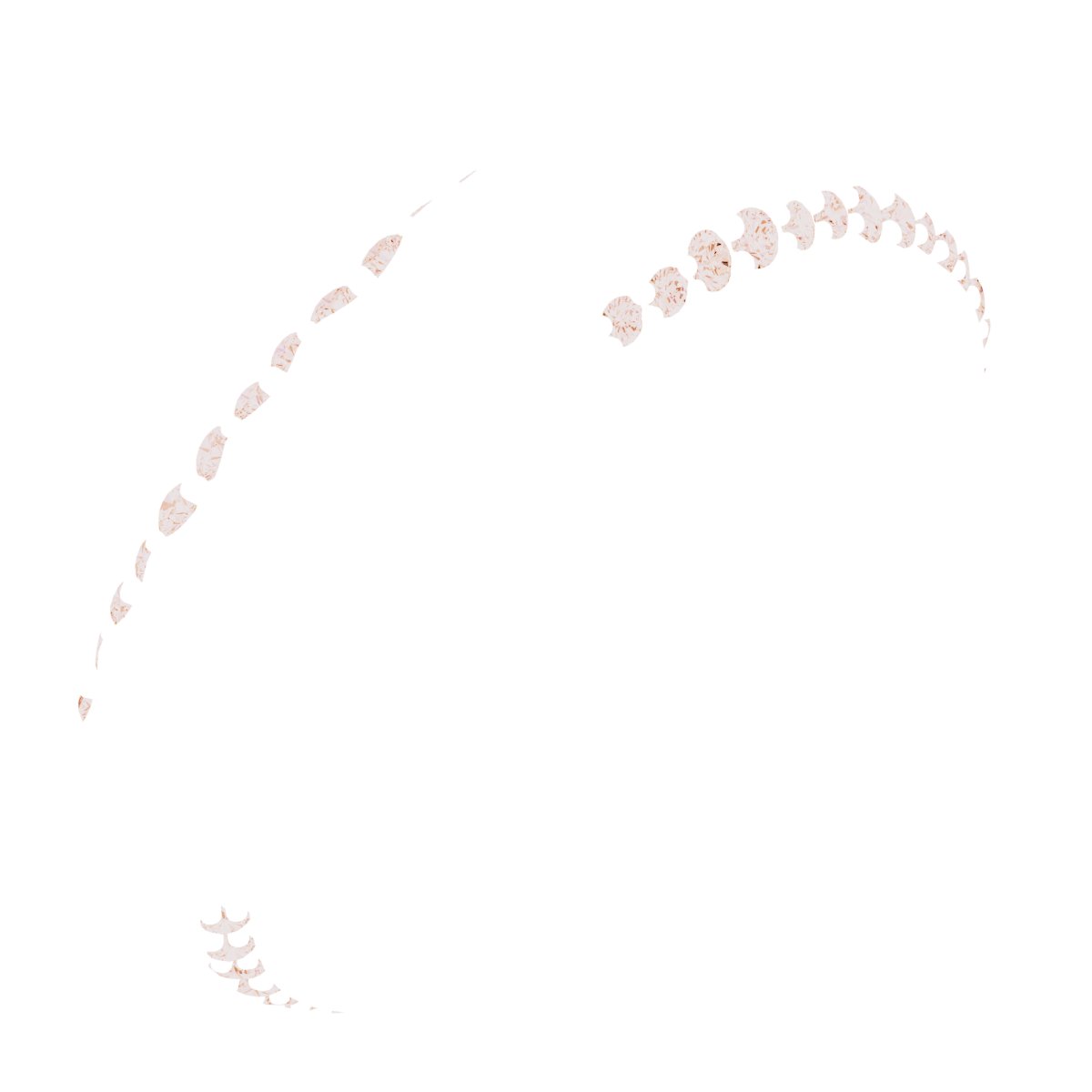 Scalloped Beveled-Edge Accented Band