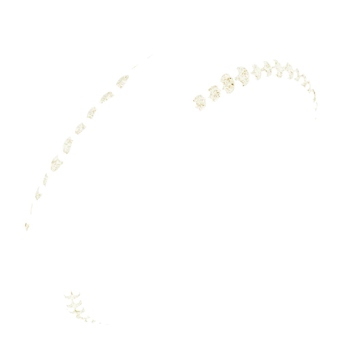 Scalloped Beveled-Edge Accented Band