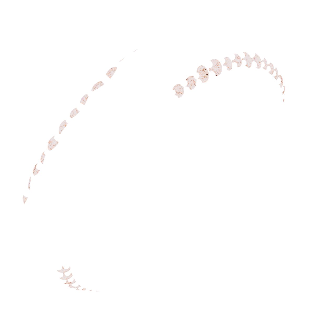 Scalloped Beveled-Edge Accented Band
