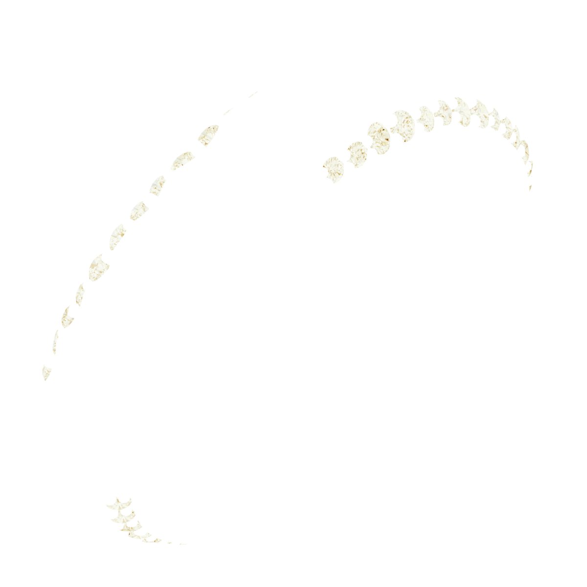 Scalloped Beveled-Edge Accented Band