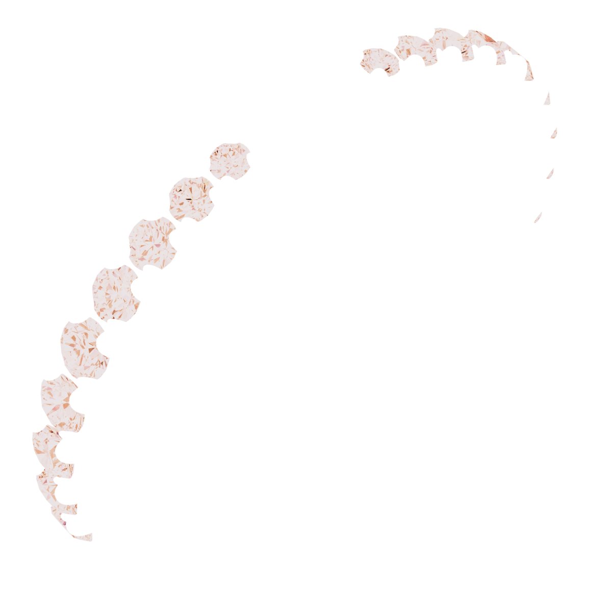 Accented Contour Band