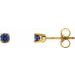 14K Yellow Natural Blue Sapphire Youth Earrings