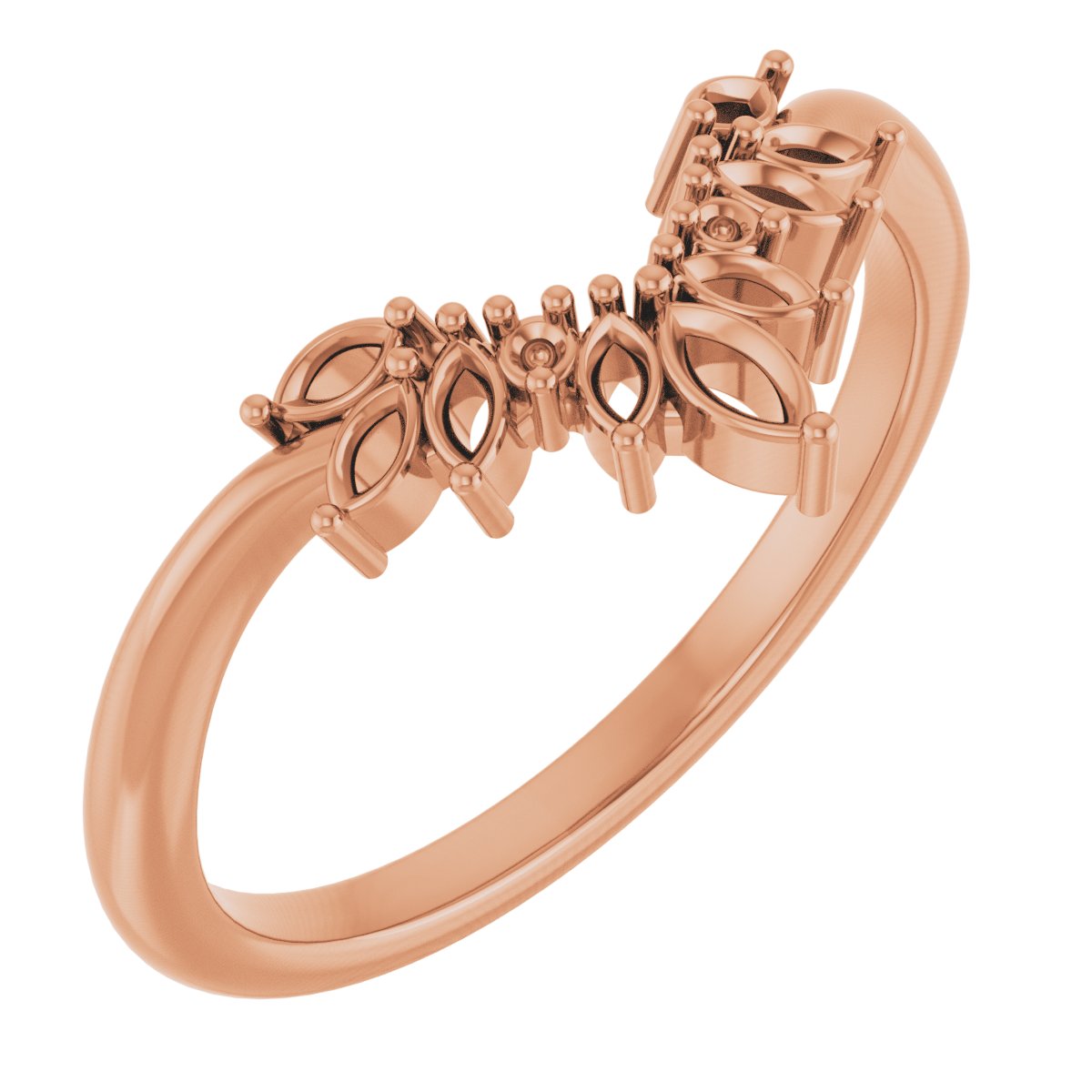 Accented Contour Band