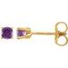 14K Yellow Natural Amethyst Youth Earrings