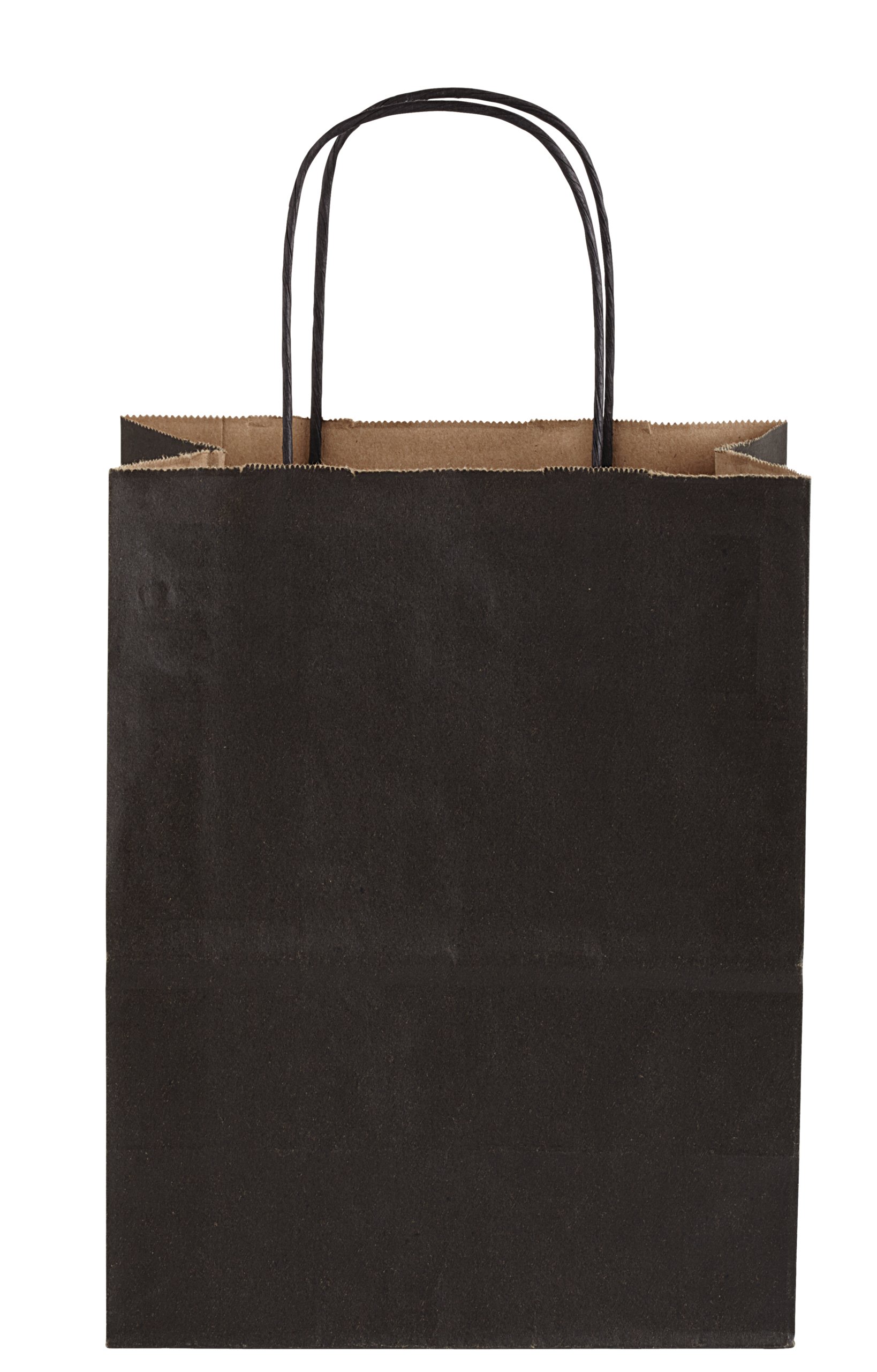 Black Kraft Paper Gift Bags With Rope Handles - Medium - Pack of 250 - Multifunctional Jewelry Gift Bags - Fine Jewelry Gift Packaging