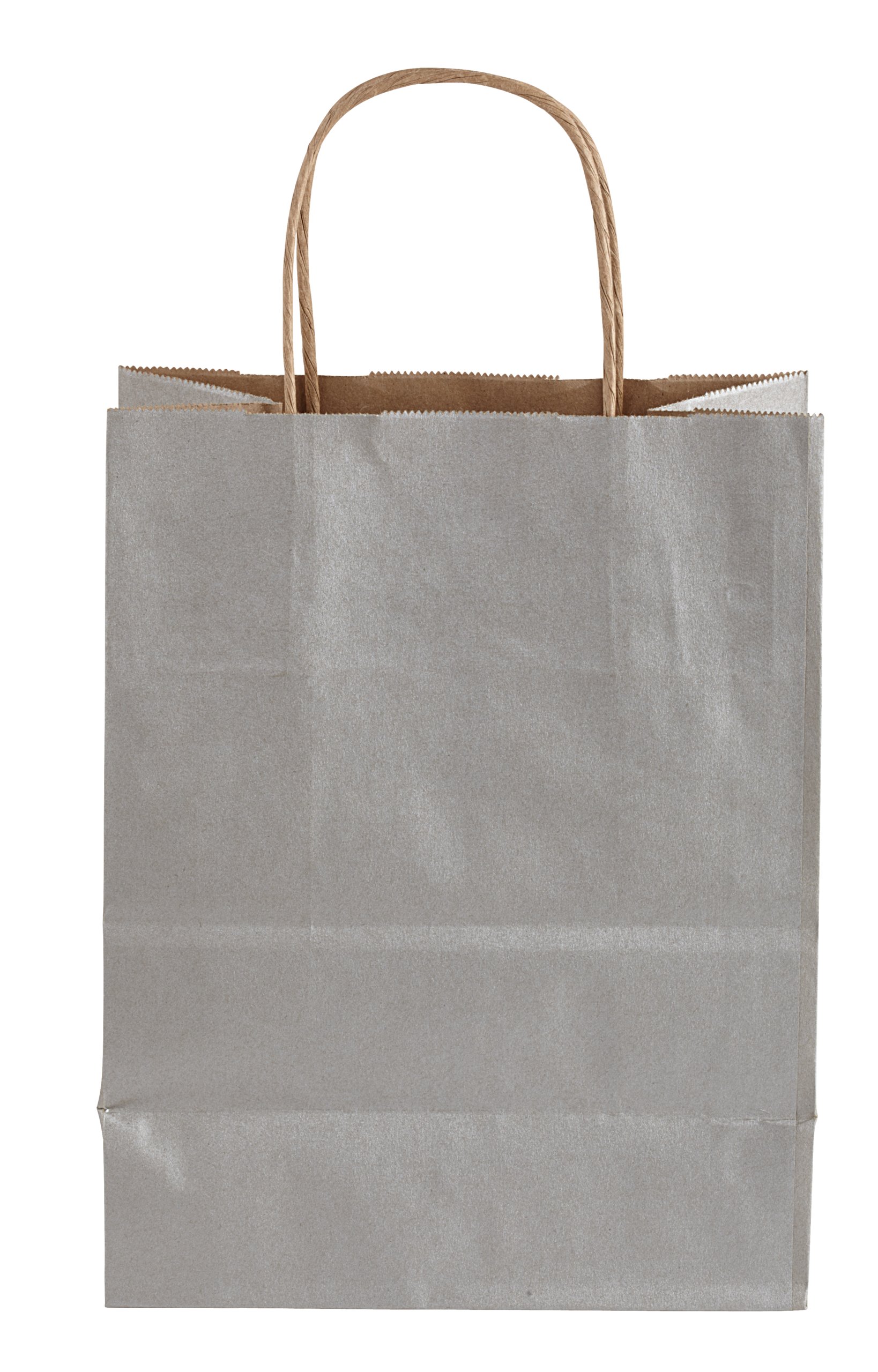 Rope Handle Collection Kraft Paper Gift Bags