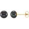 14K Yellow 5 6 mm Black Freshwater Cultured Pearl Earrings Ref. 9995153