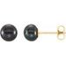 14K Yellow 5-6 mm Cultured Black Freshwater Pearl Earrings