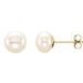 14K Yellow 6-7 mm Cultured White Freshwater Pearl Earrings