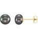 14K Yellow 6-7 mm Cultured Black Freshwater Pearl Earrings