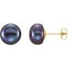 14K Yellow 8 9 mm Black Freshwater Cultured Pearl Earrings Ref. 9987808