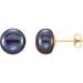 14K Yellow 8-9 mm Cultured Black Freshwater Pearl Earrings