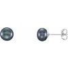 Sterling Silver 6 7 mm Black Freshwater Cultured Pearl Earrings Ref. 9989568