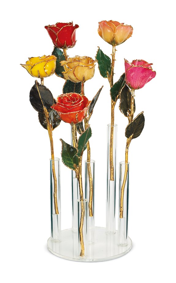 Acrylic Display Stand Holds 6 Roses Ref 606820