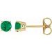 14K Yellow 2.5 mm Lab-Grown Emerald Earrings with Friction Post