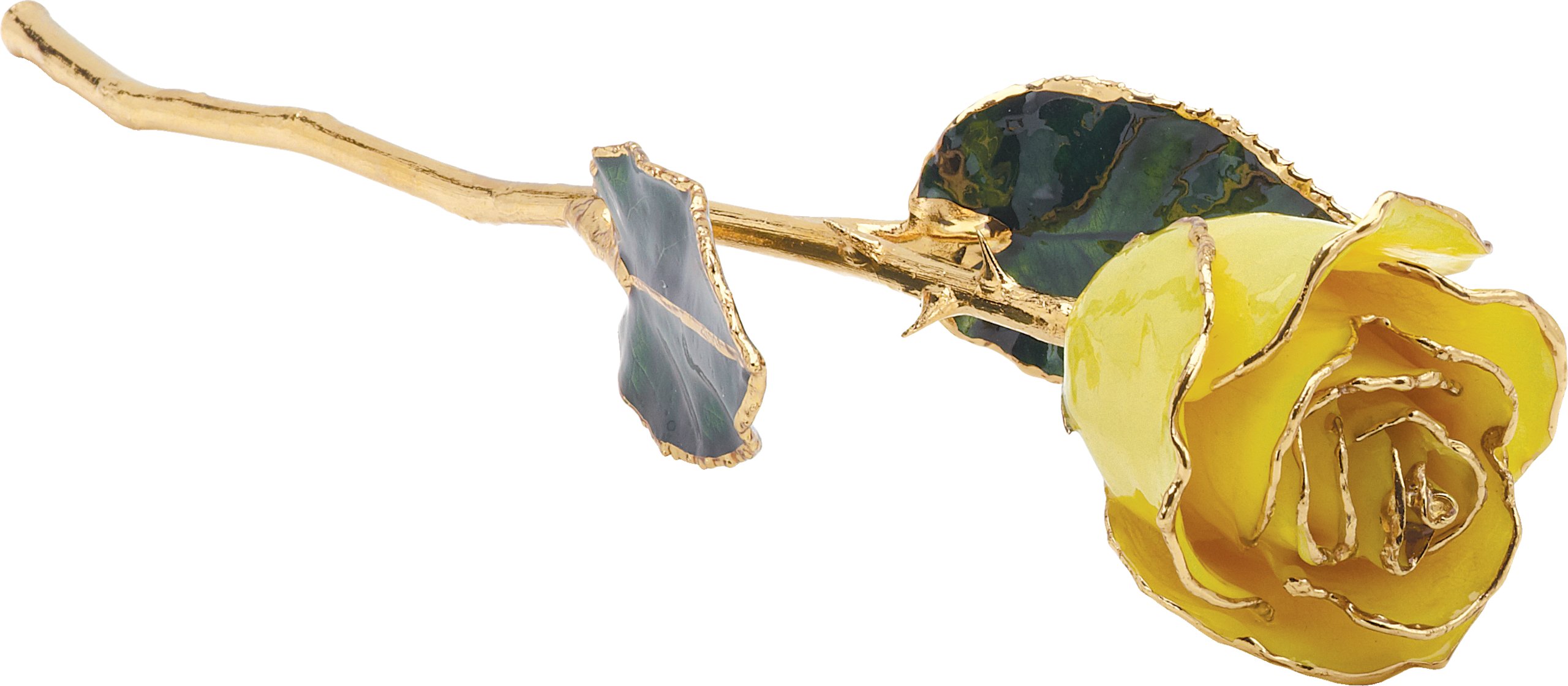 Lacquered Yellow Rose with Gold Trim