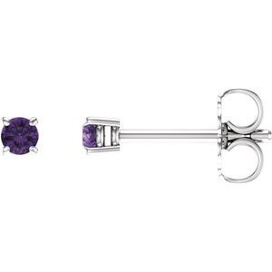 14K White 2.5 mm Natural Amethyst Earrings with Friction Post