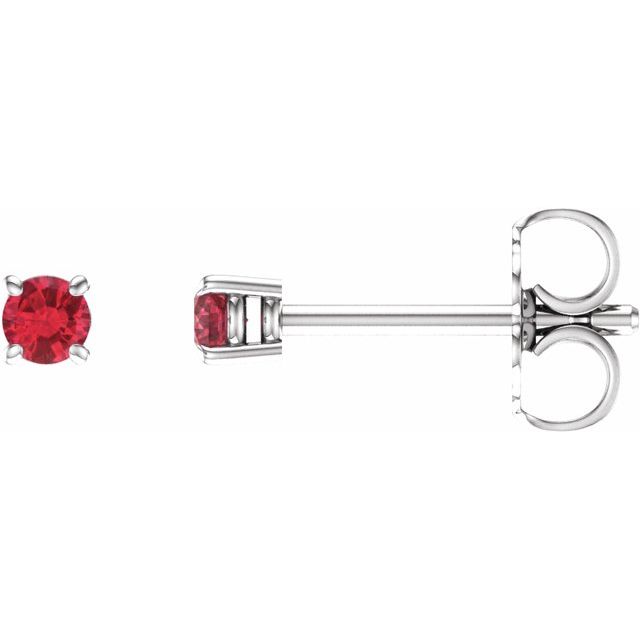 14K White 2.5 mm Natural Ruby Earrings with Friction Post
