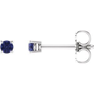 14K White 2.5 mm Natural Tanzanite Earrings with Friction Post
