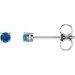 14K White 2.5 mm Natural Swiss Blue Topaz Stud Earrings with Friction Post