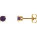 14K Yellow 4 mm Natural Amethyst Earrings with Friction Post