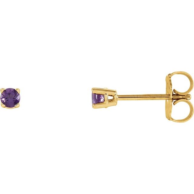 14K Yellow 2.5 mm Natural Amethyst Stud Earrings with Friction Post