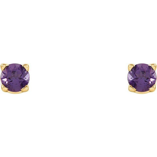 14K Yellow 2.5 mm Natural Amethyst Stud Earrings with Friction Post