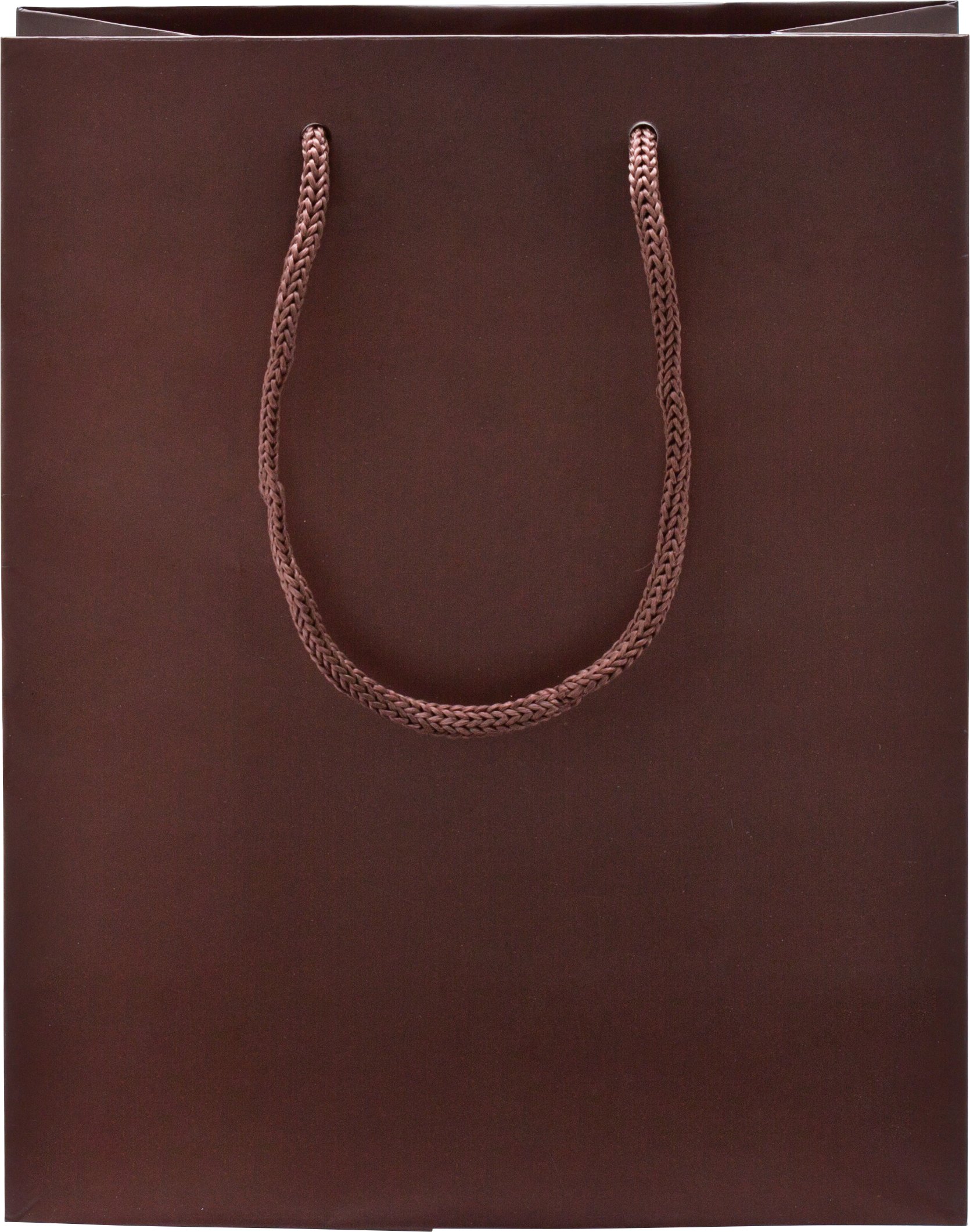 Rope Handle Collection Gloss Paper Gift Bags