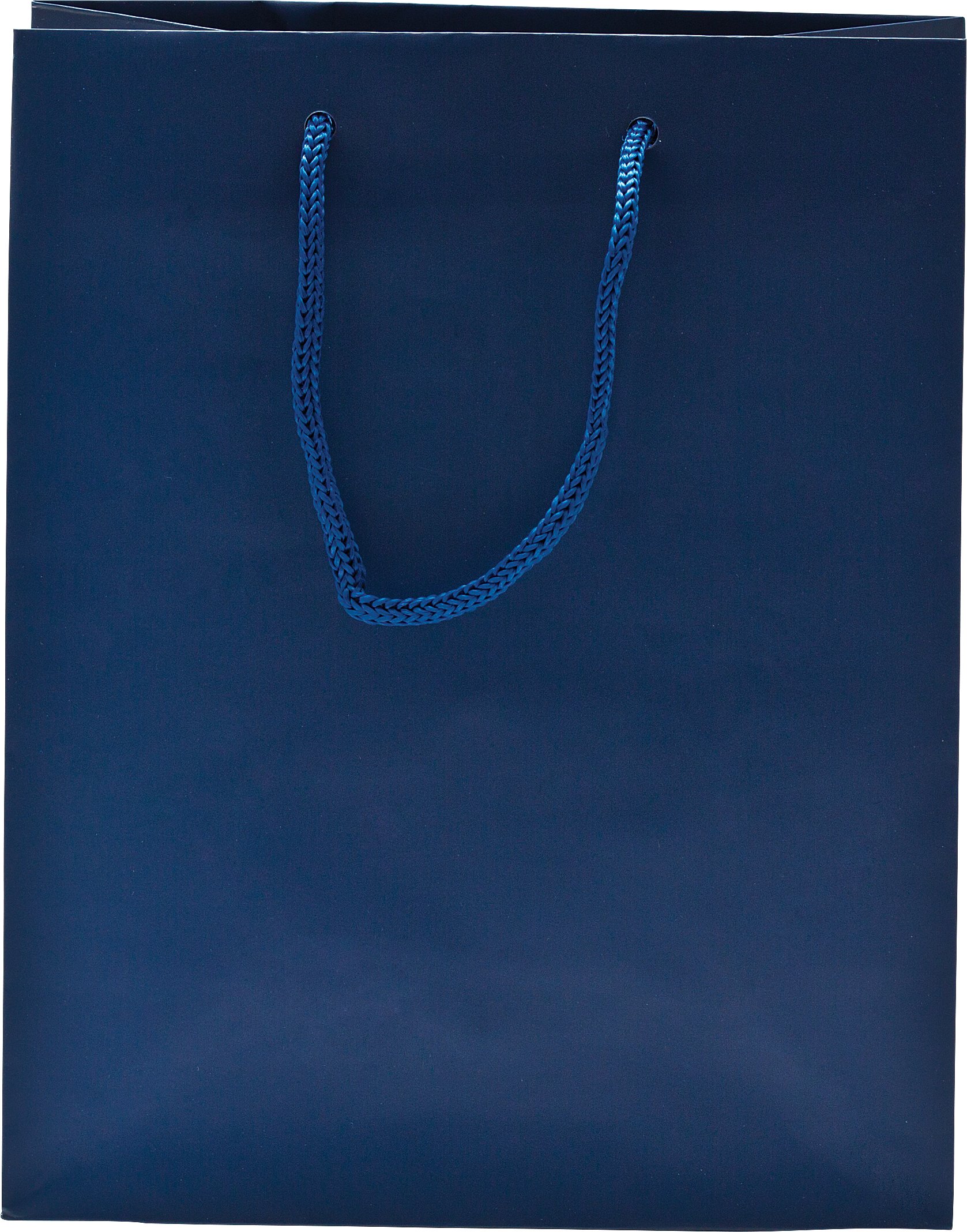 Rope Handle Collection Gloss Paper Gift Bags