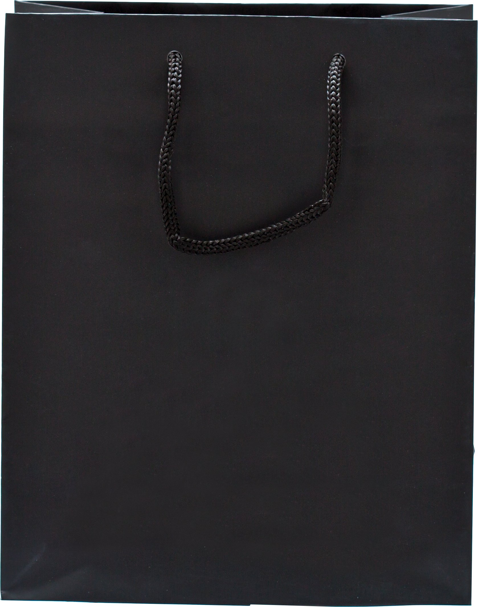 Rope Handle Collection Gloss Paper Gift Bags